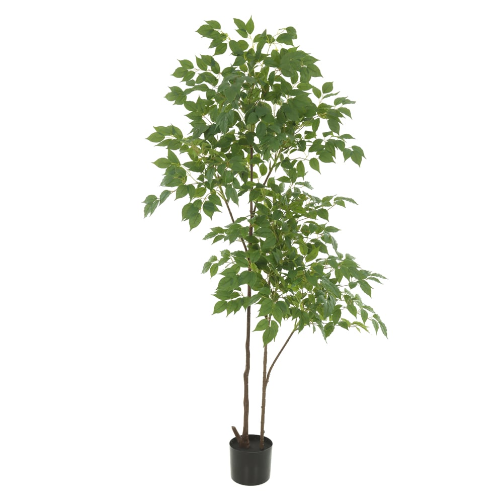 A.FICUS REAL TOQUE C/POTE X808 (VERDE) 1,4m