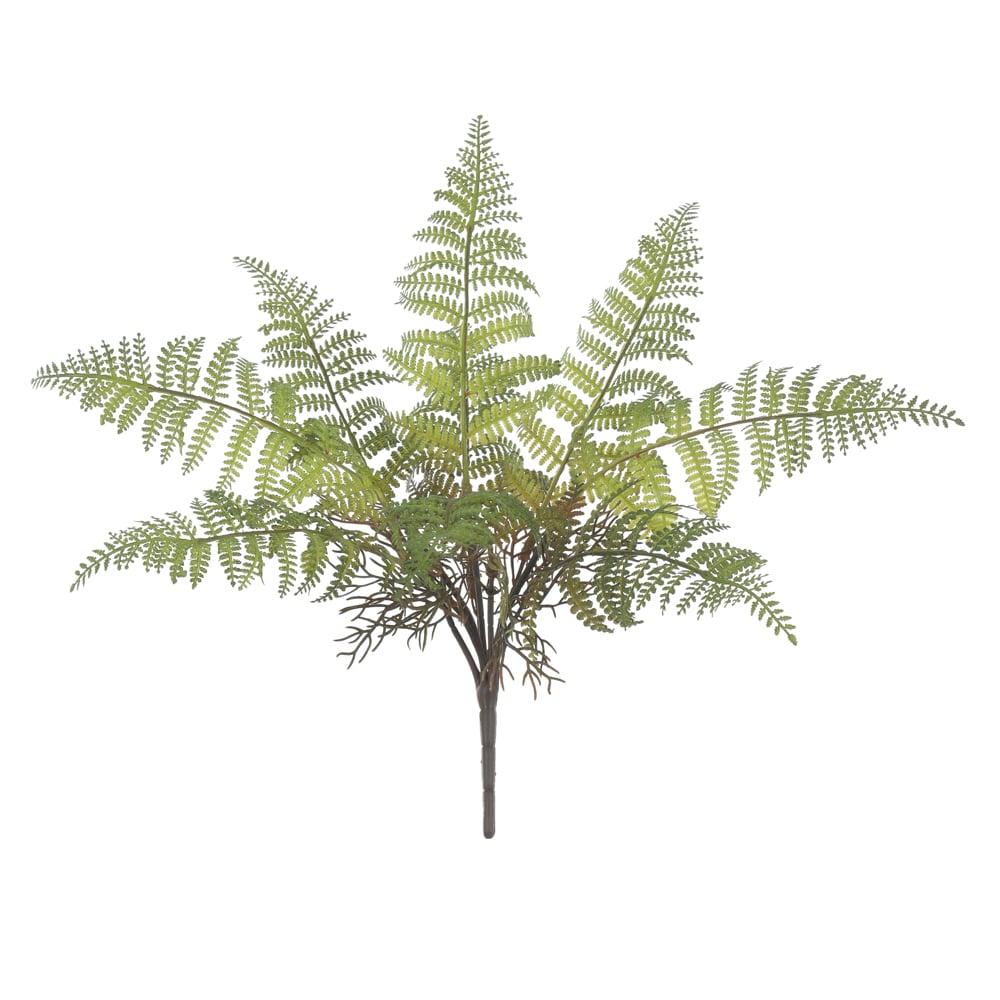 F.SAMAMBAIA C/PRINT PLASTICO X9 (VERDE) 38cm