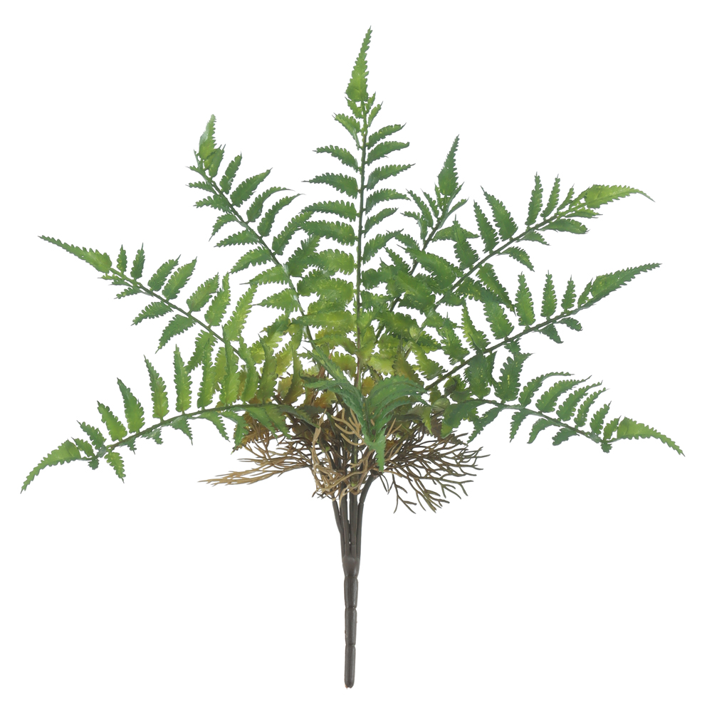 F.SAMAMBAIA C/PRINT PLASTICO X9 (VERDE) 38cm
