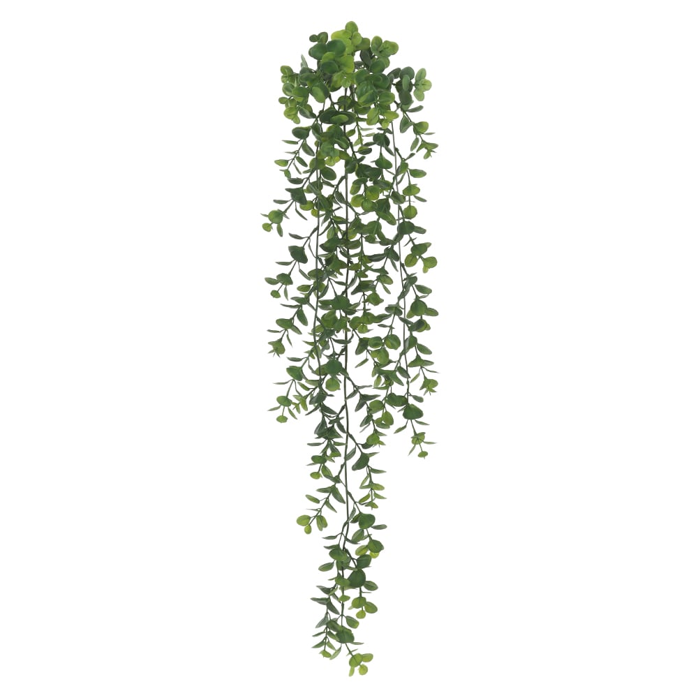 F.EUCALIPTO PENDURAR PLASTICO X35 (VERDE) 1m