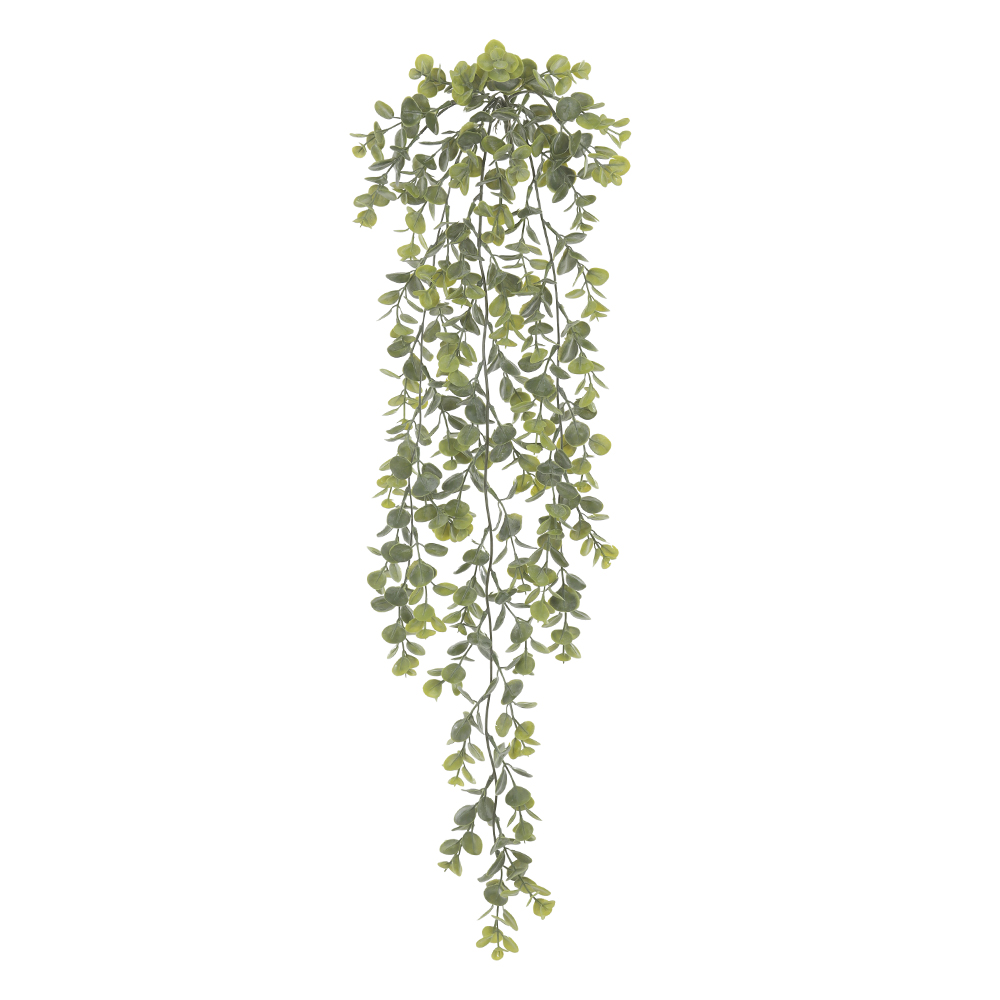 F.EUCALIPTO PENDURAR PLASTICO X35 (VERDE POWDER) 1m