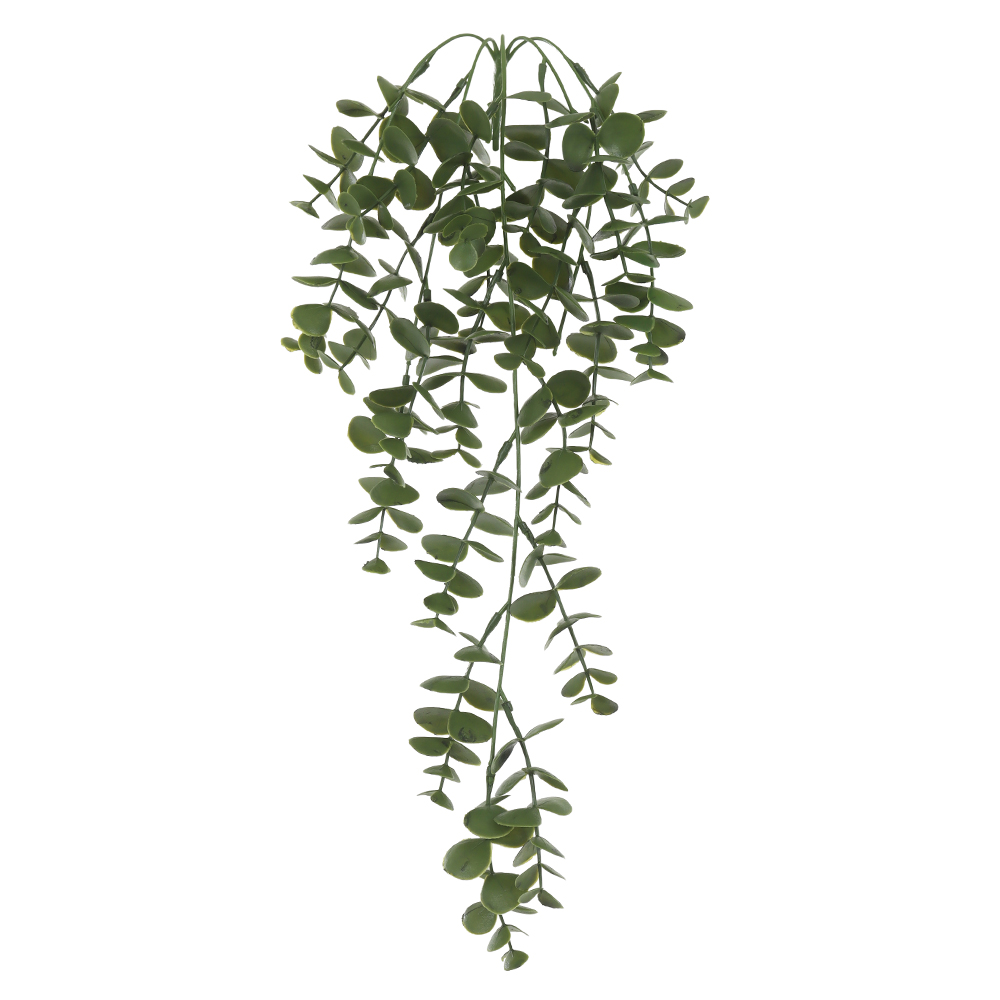 F.EUCALIPTO PENDURAR PLASTICO X25 (VERDE) 61cm