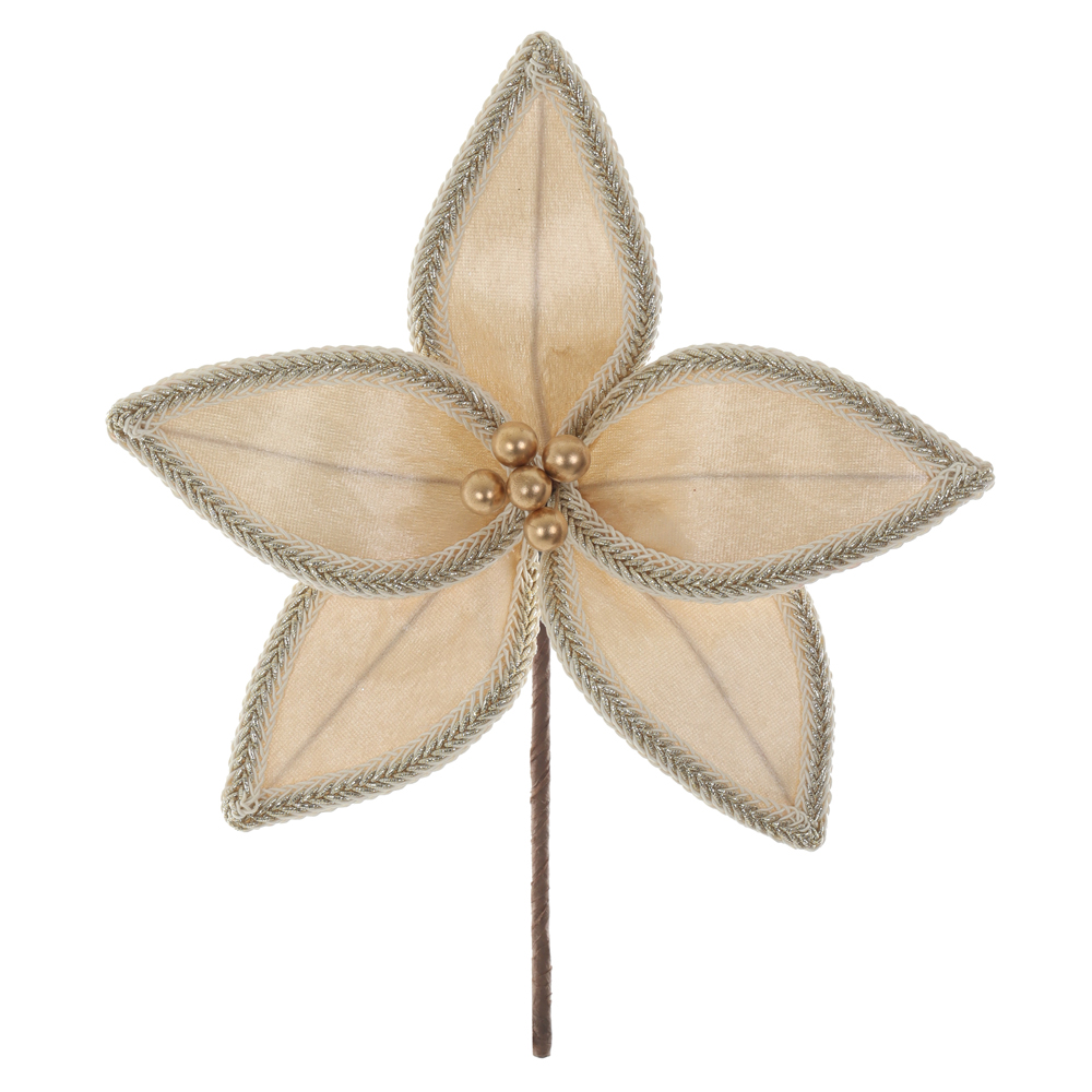 H.BICO DE PAPAGAIO AVELUDADO NATAL (CHAMPANHE) 19cm 26d 5P