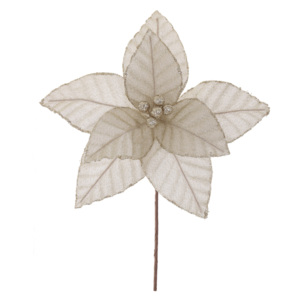 H.BICO DE PAPAGAIO NATAL (CHAMPANHE) 25cm 29d 8P