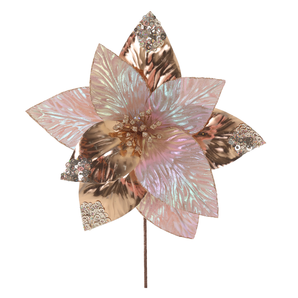 H.BICO DE PAPAGAIO NATAL (IRIDESCENTE) 25cm 29d 9P
