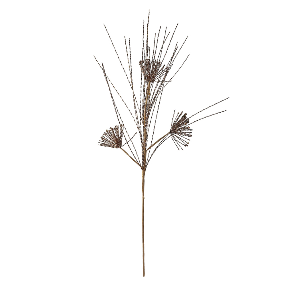 C.GRASS NATAL (CHAMPANHE) 82cm