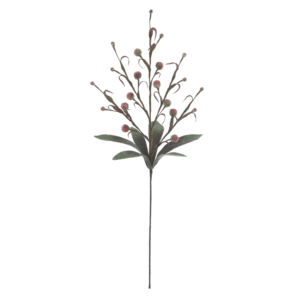 C.GALHO SEMENTES X20 (ROSA OUTONO) 1,1m