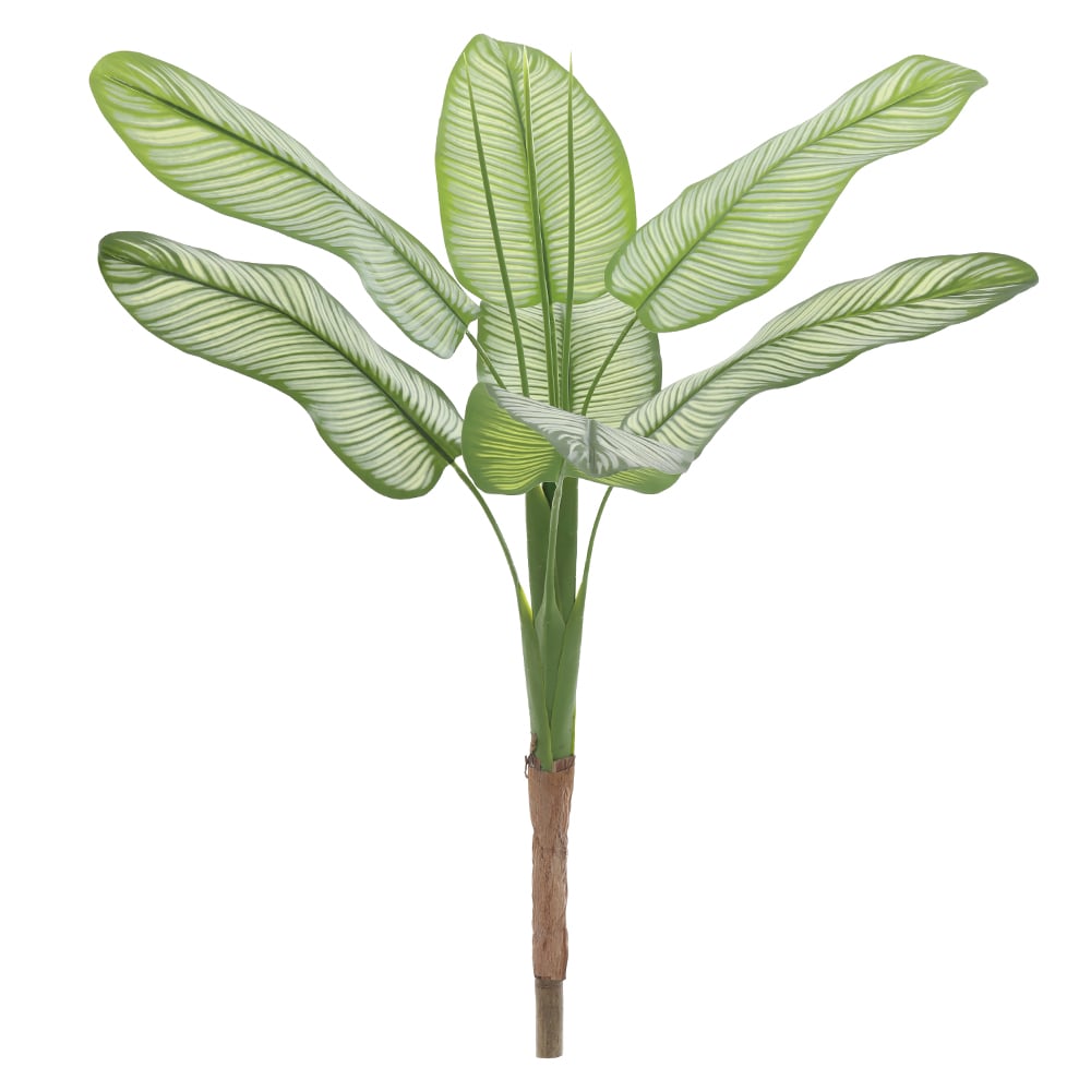 A.MARANTA RISCADA REAL TOQUE X7 (VERDE) 1,1m