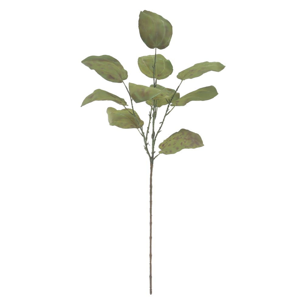C.GALHO FOLHA X10 (VERDE) 90cm