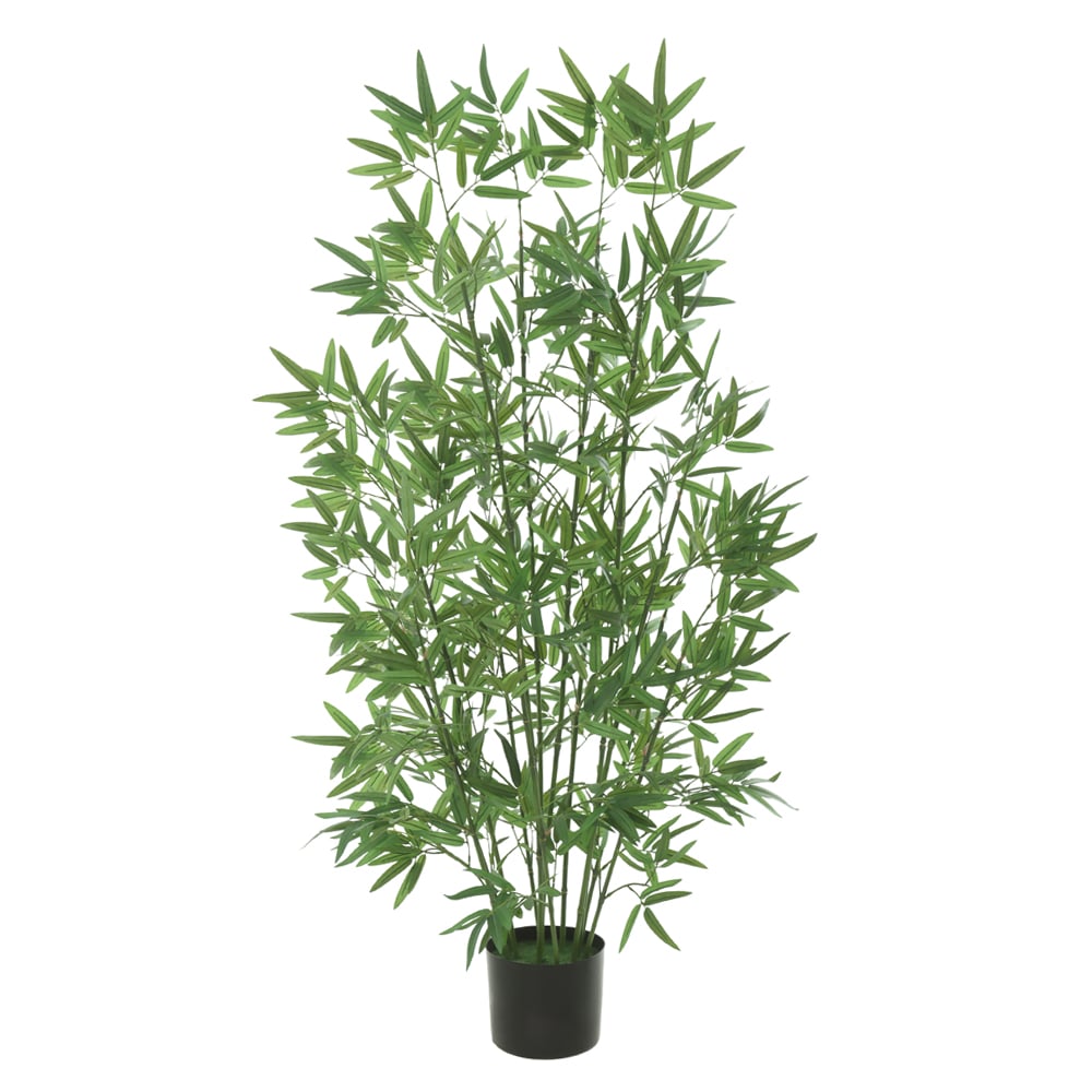 A.BAMBOO C/POTE X946 (VERDE) 1,2m
