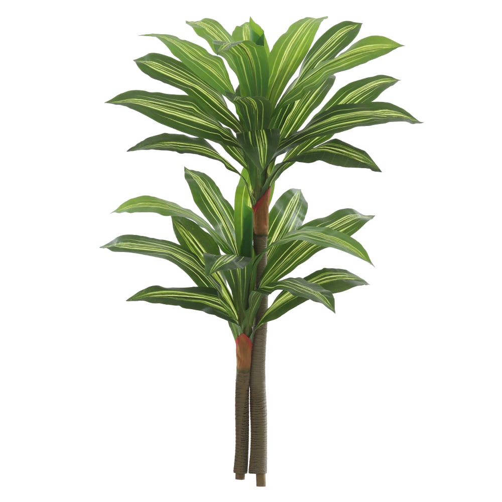 A.DRACENA X30 (VERDE) 1,4m