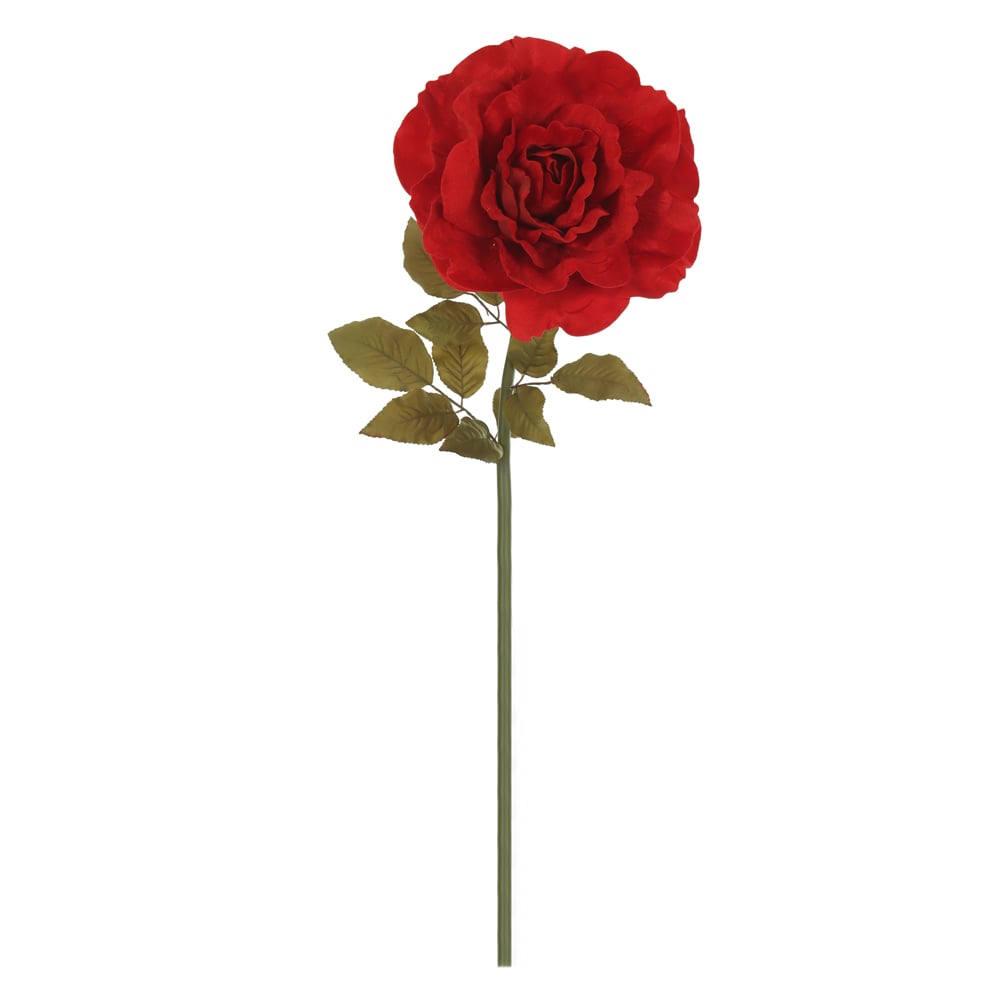 H.ROSA GIGANTE AVELUDADO (VERMELHO) 1,1m 30d