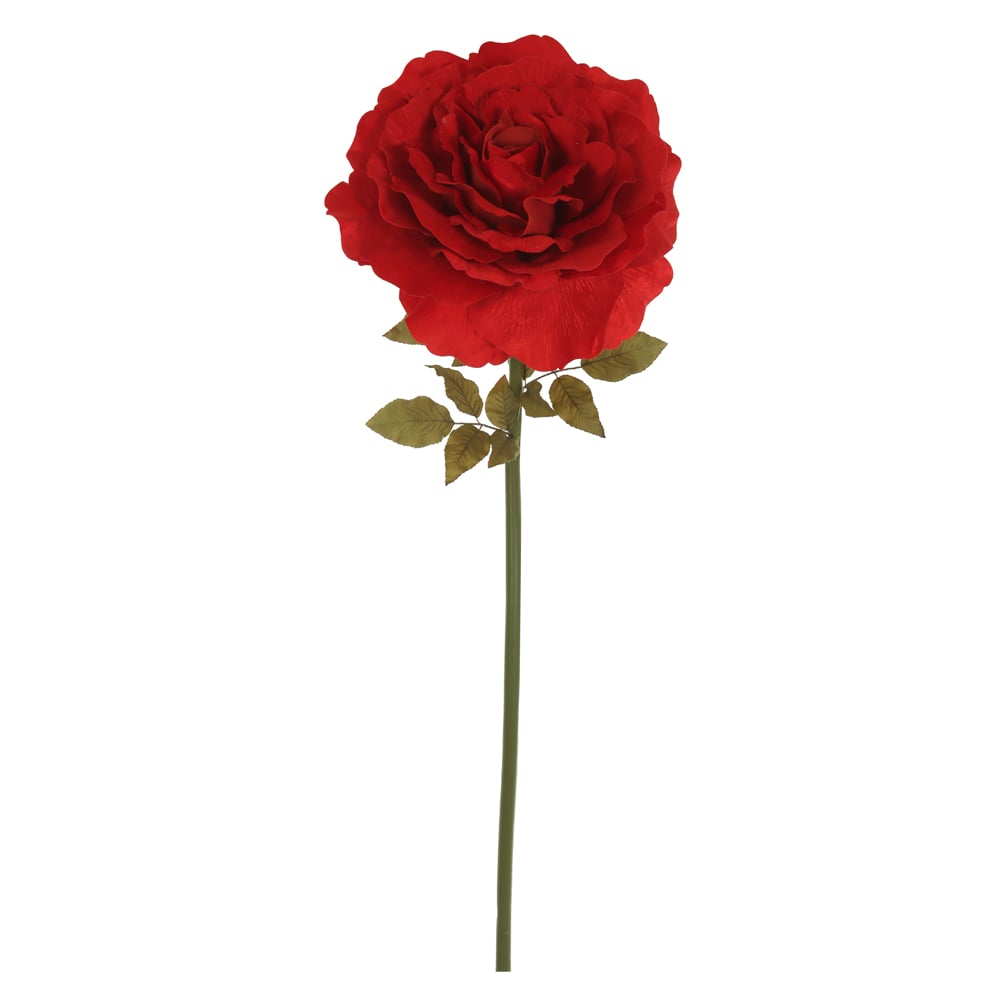 H.ROSA GIGANTE AVELUDADO (VERMELHO) 1,5m 50d