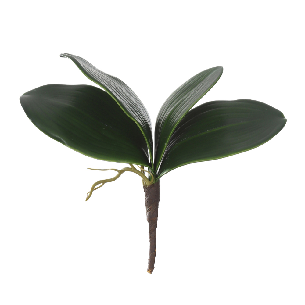 F.FOLHA ORQUIDEA PHALAENOPSIS C/ARAME X4 (VERDE) 20cm