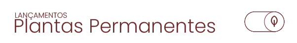 Lançamentos em Plantas Permanentes  | Segundo Semestre