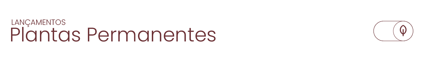 Lançamentos em Plantas Permanentes  | Segundo Semestre